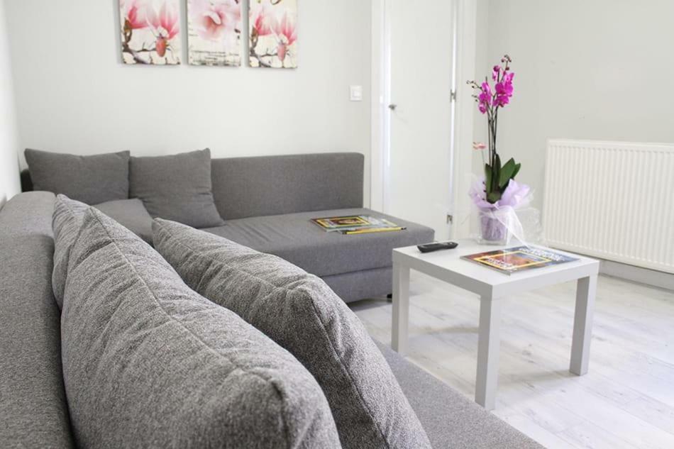Apartamentos Logrono Centro Exteriér fotografie